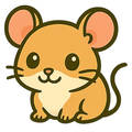 Muis