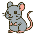 Rat
