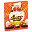Reese's Reese's Peanut Butter Variety Advent Calendar 9x242g