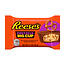 Hershey's Reese's Peanut Butter Big Cup Stuffed With Pretzel 16x37g