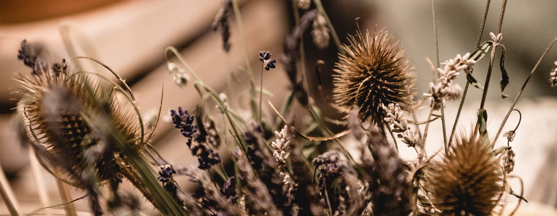 DIE WELT DER AROMEN