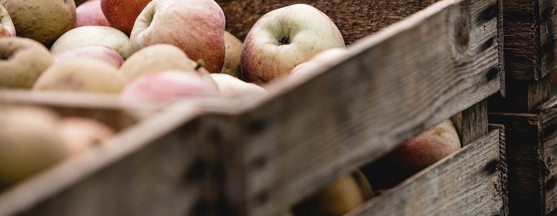 EINZIGARTIGE CIDER-KREATIONEN