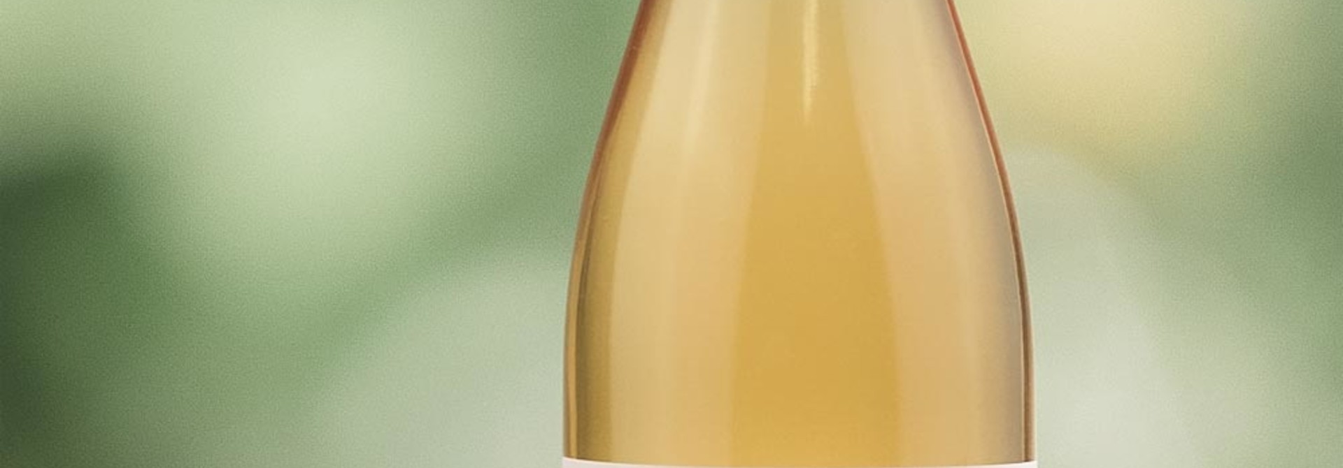 Öpfu Plus «Ingwer»