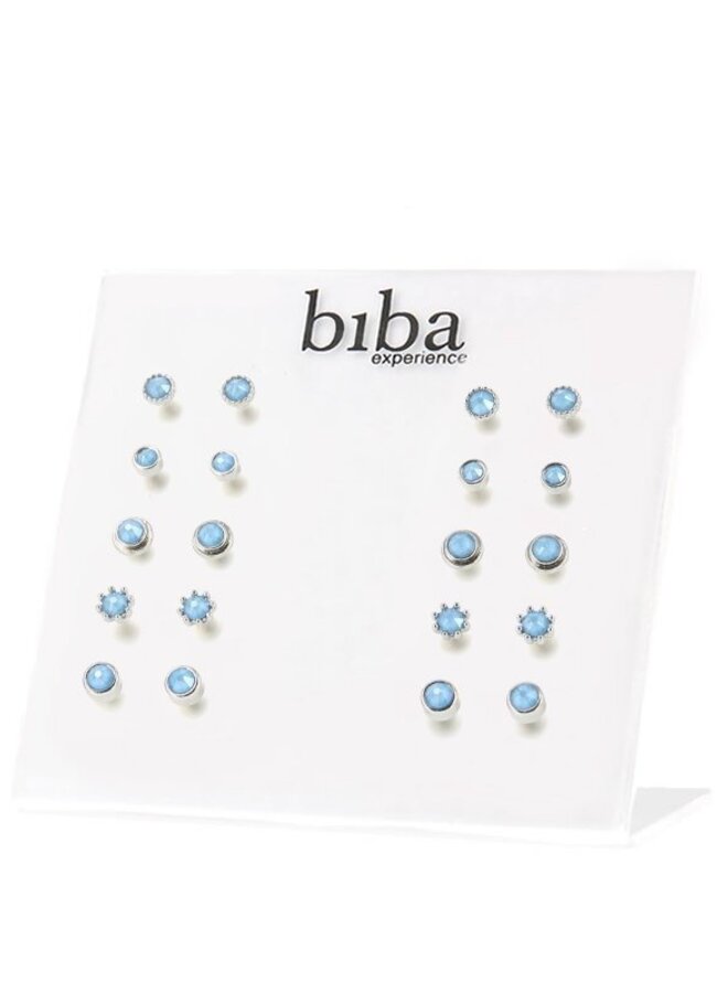 Oorknopjes - Blauw/Zilver