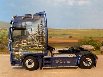 WSI WSI MAN TGX XXL 4x2 Tirolf Transport