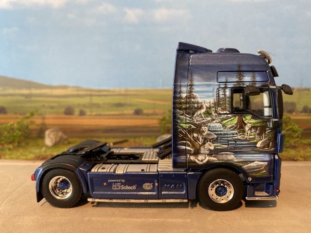 WSI WSI MAN TGX XXL 4x2 Tirolf Transport