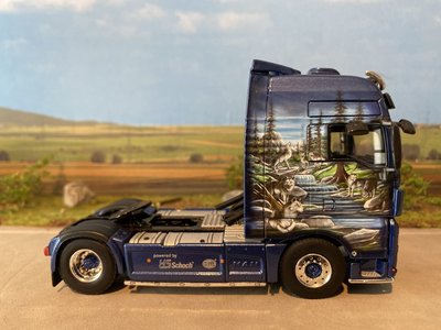 WSI WSI MAN TGX XXL 4x2 Tirolf Transport