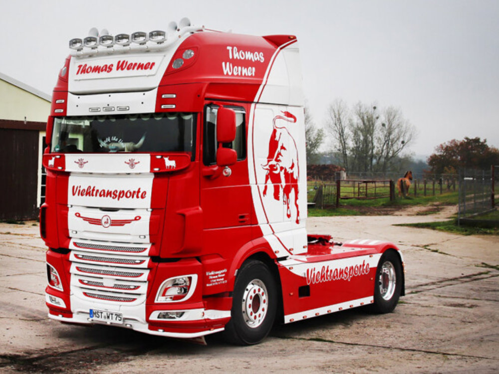 WSI WSI  DAF XF Super Space Cab 4x2 Thomas Werner