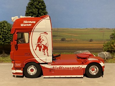 WSI WSI  DAF XF Super Space Cab 4x2 Thomas Werner