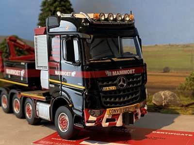 Mammoet store IMC Mercedes Arocs 8x4 + ballast box + fassi kraan Mammoet