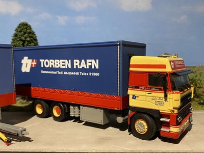 WSI WSI DAF 3600 Space Cab 6x2 combi Torben Rafn