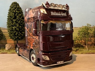 WSI WSI DAF XF Super Space Cab 4x2 single truck Roland Graf