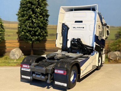 WSI Renault T Trucks 4x2 Thomann - Miniatuurshop.com