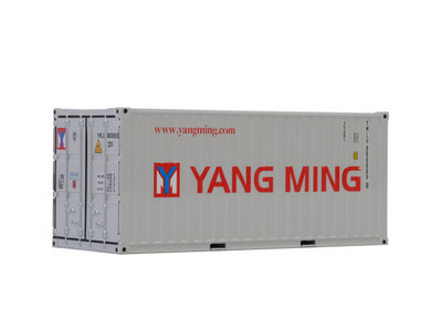 WSI WSI Premium line 20ft. container Yang Ming