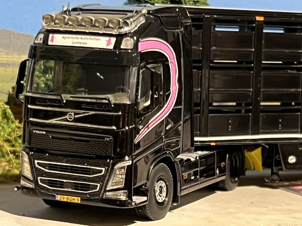 WSI WSI Volvo FH04 glob. 4x2 with livestock trailer Agrarische Activiteiten Lunteren