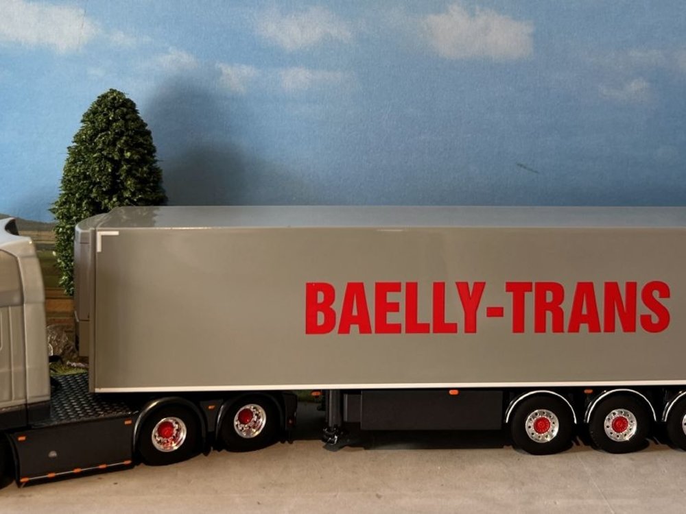 WSI WSI  DAF XF SSC 6x2 met 3-as koeloplegger Baelly - Trans