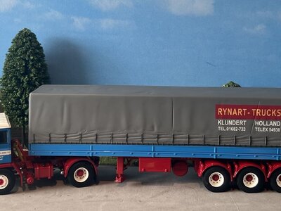 WSI WSI DAF 2600 4x2 curtainside trailer / classic 3-axle Rynart trucks