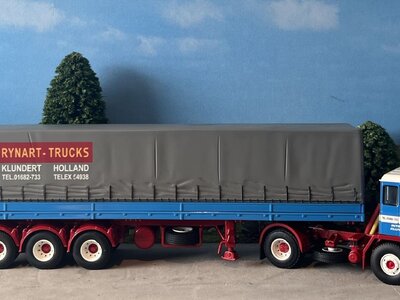 WSI WSI DAF 2600 4x2 curtainside trailer / classic 3-axle Rynart trucks