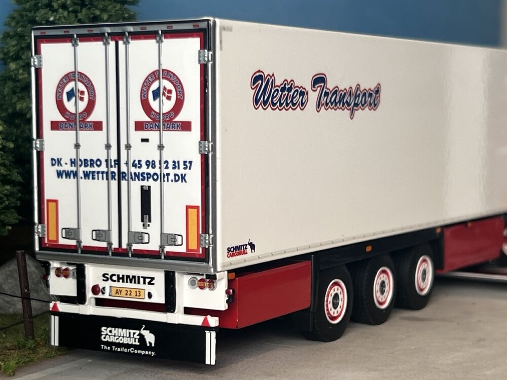 WSI WSI Renault trucks T High 6x2 3-axle reefer trailer Wetter