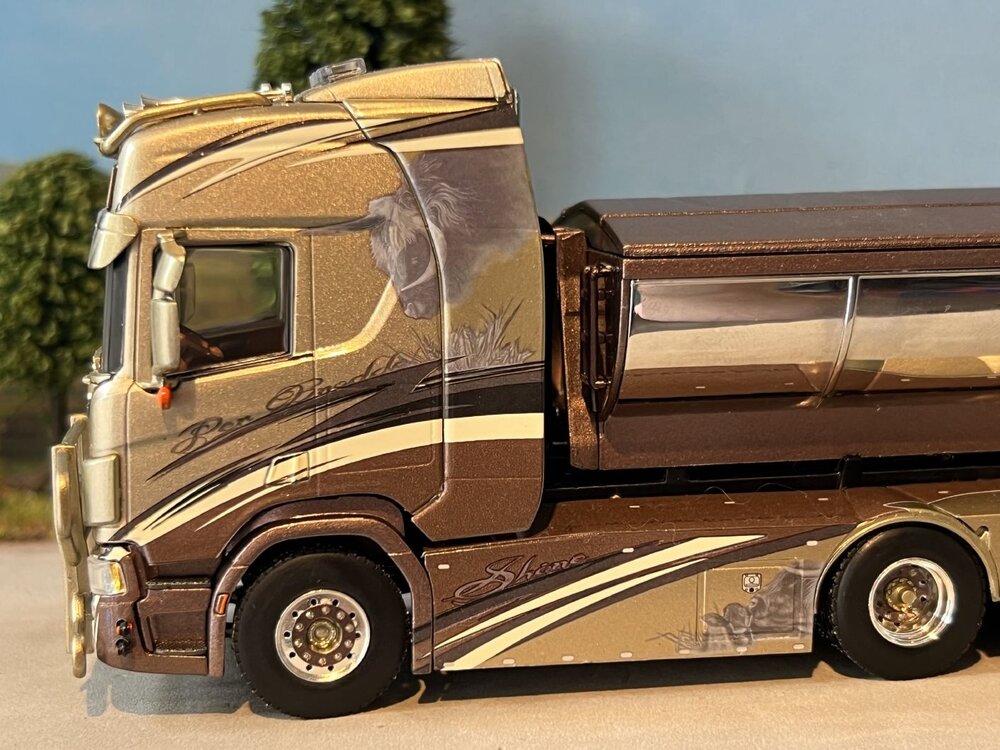 WSI WSI Scania R Highline 8x4 haakarm systeem + container PER BRODDES