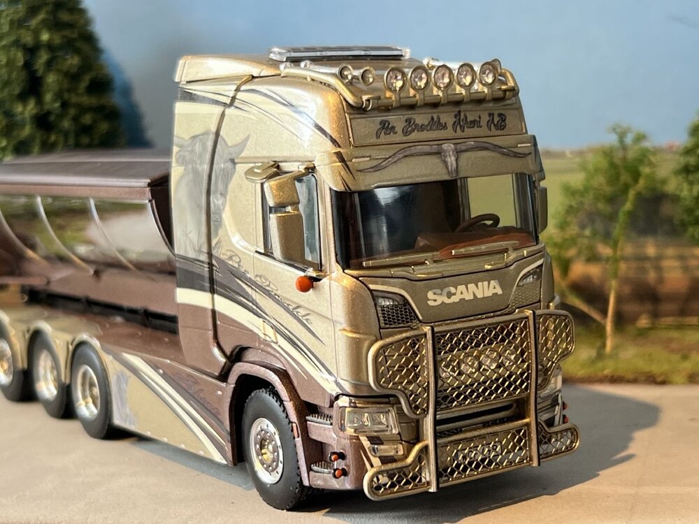 WSI WSI Scania R Highline 8x4 hooklift system + container PER BRODDES