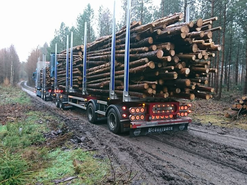 Tekno Volvo FH04 motorwagen aanhanger met houtopbouw JAN JOHANSSON