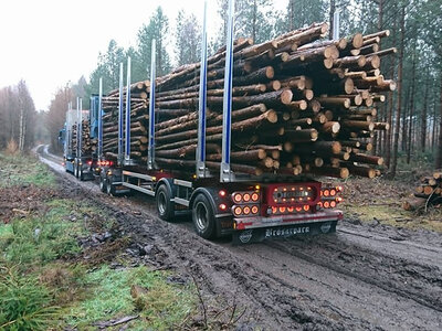 Tekno Volvo FH04 motorwagen aanhanger met houtopbouw JAN JOHANSSON