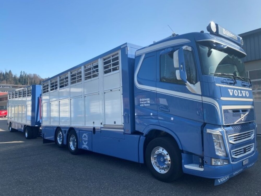 Tekno Volvo FH04 rigid truck with resin - lifestock trailer Brühlmann