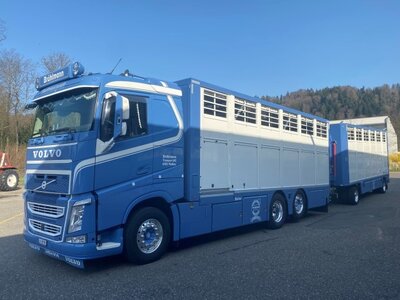 Tekno Volvo FH04 rigid truck with resin - lifestock trailer Brühlmann