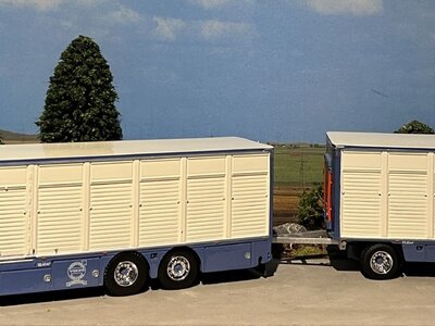 Tekno Volvo FH04 rigid truck with resin - lifestock trailer Brühlmann