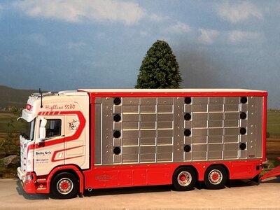 IMC IMC Scania S High roof boxed truck met 3-as veetrailer BETTE GRIS