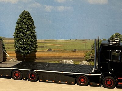 WSI WSI Scania R Normal 8x2 tag axle riged / resin flatbed Kay Schubert