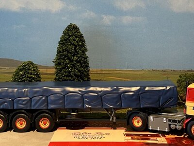 Tekno Tekno DAF 2800 with 3-axle classic flatbed trailer + covered load Torben Rafn