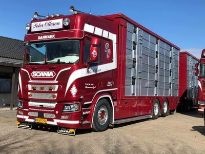 IMC IMC Scania R High roof boxed truck with livestock PETER OTTESEN