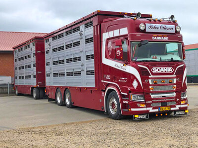 IMC IMC Scania R High roof boxed truck with livestock PETER OTTESEN