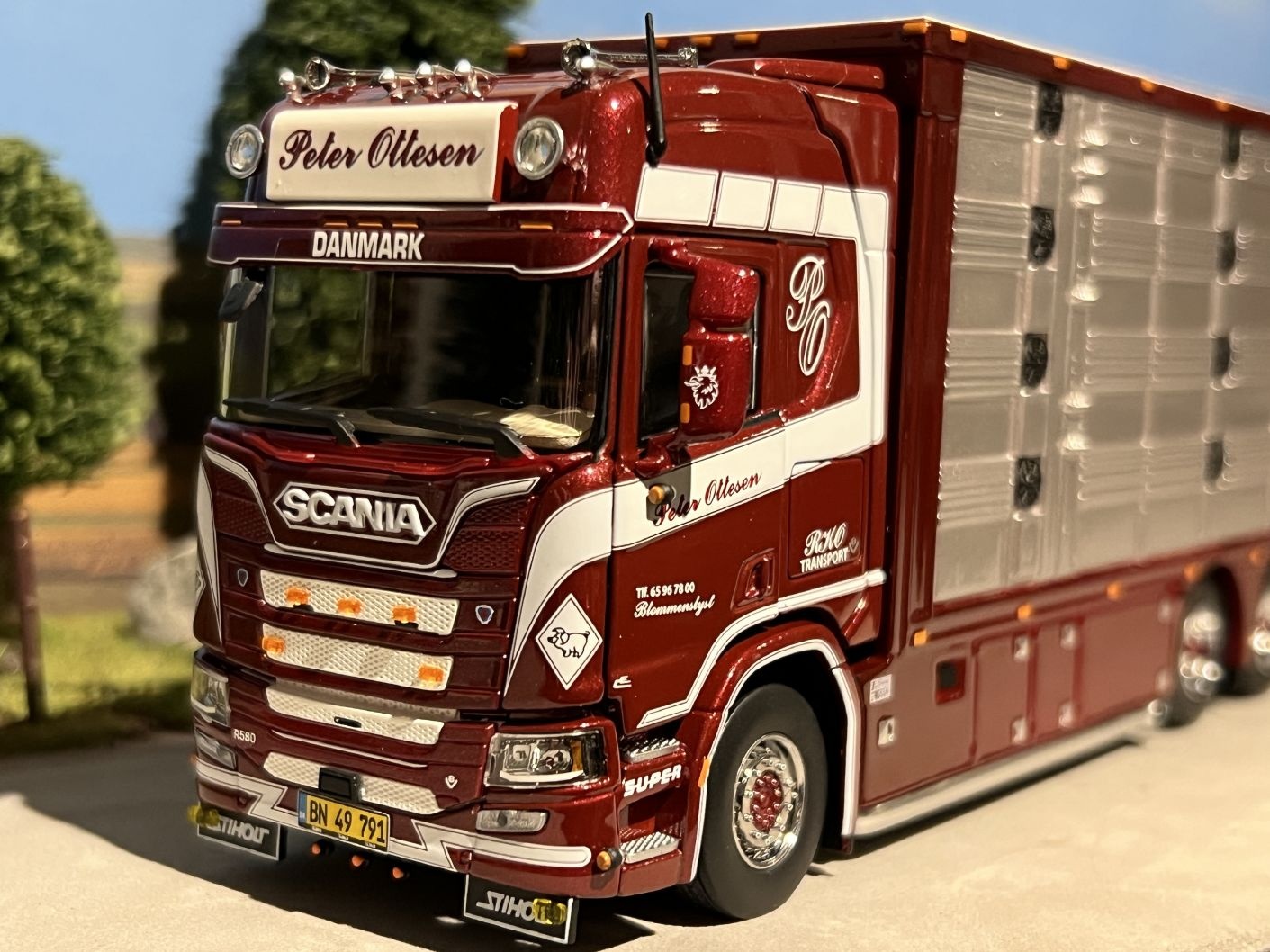 IMC Scania R High roof boxed truck with livestock Peter Ottesen