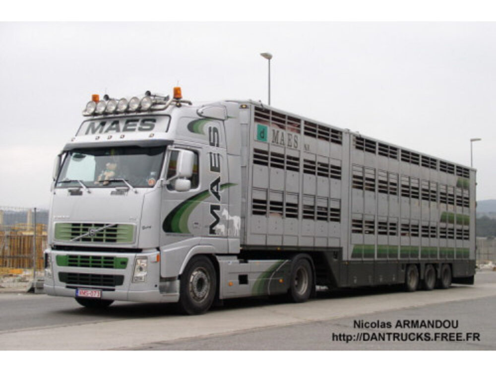 Tekno Tekno Volvo FH02 Globetrotter met 3-as veeoplegger MAES