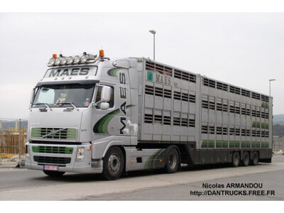 Tekno Tekno Volvo FH02 Globetrotter with 3-axle livestock trailer MAES