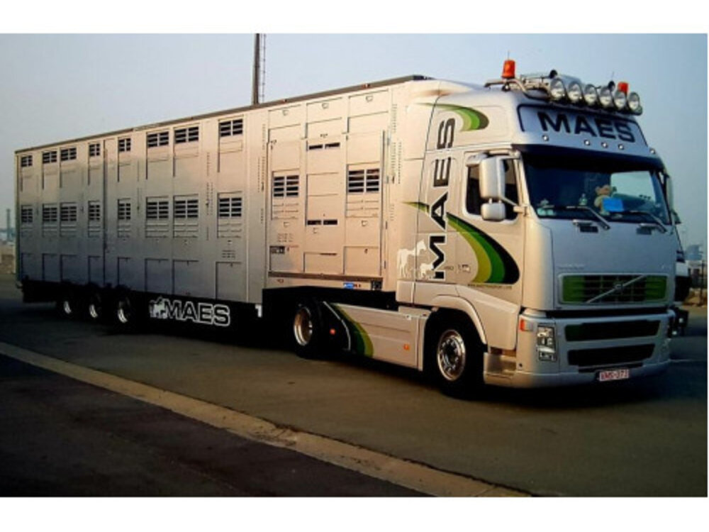 Tekno Tekno Volvo FH02 Globetrotter met 3-as veeoplegger MAES