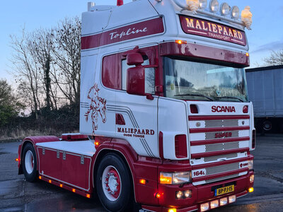 WSI WSI Scania 4-serie Topline 4x2 MALIEPAARD TRANSPORT