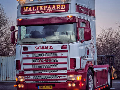 WSI WSI Scania 4-serie Topline 4x2 MALIEPAARD TRANSPORT