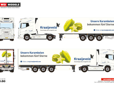 WSI WSI DAF XG+ met 3-as koeloplegger KRAAIJEVELD