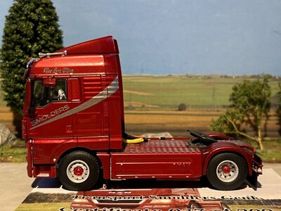 WSI WSI MAN TGX XLX 4x2 SMOLDERS "The Lion King"