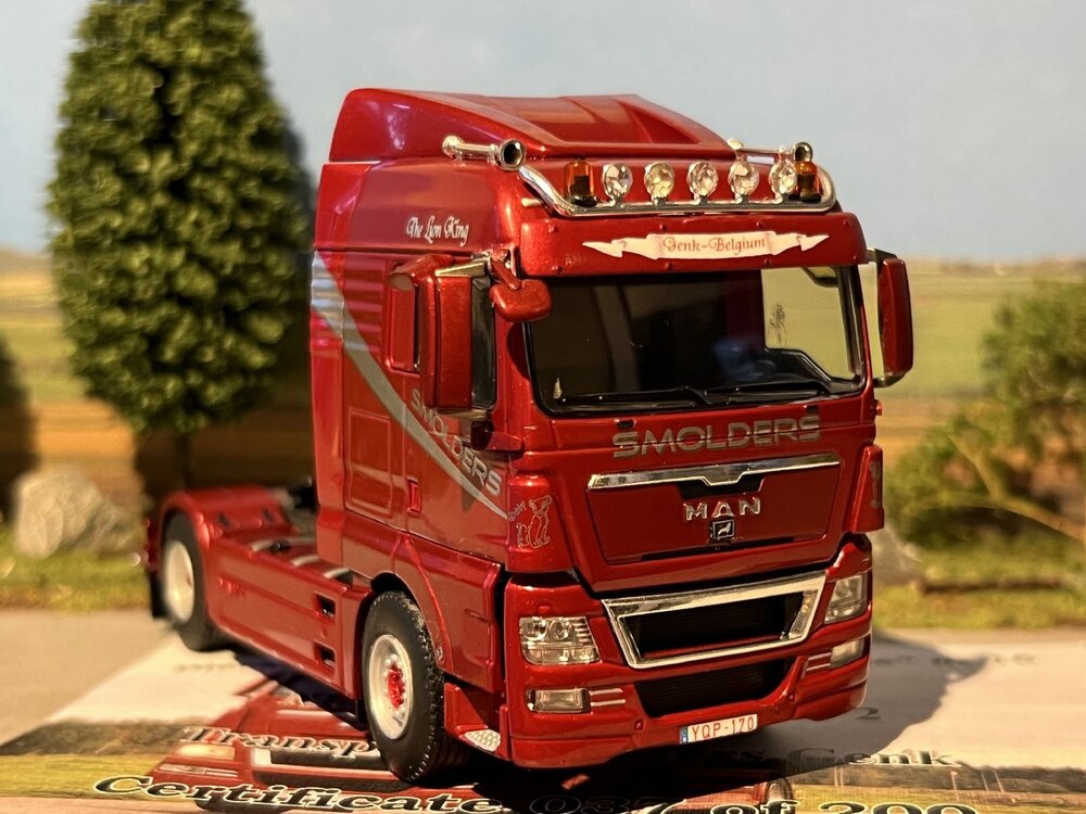 WSI WSI MAN TGX XLX 4x2 SMOLDERS "The Lion King"