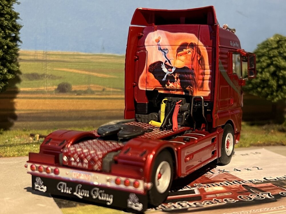 WSI WSI MAN TGX XLX 4x2 SMOLDERS "The Lion King"