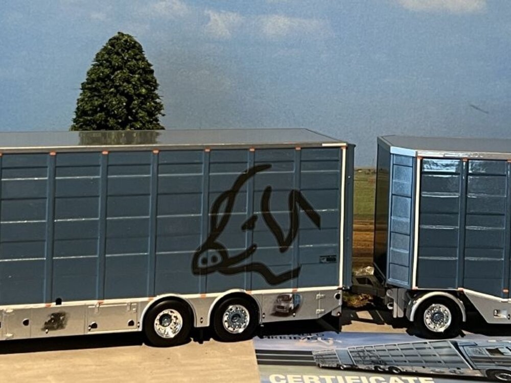 WSI WSI Mercedes Actros MP3 LH Giga Space 6x2 tag axle livestock combi DE PABLO ARRIBAS