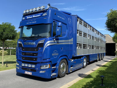 WSI WSI Scania S Highline 4x2 with 3-axle live stock trailer MOEYAERT