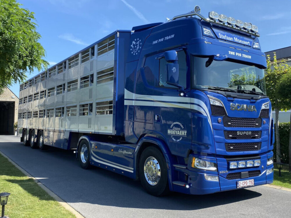 WSI WSI Scania S Highline 4x2 with 3-axle live stock trailer MOEYAERT