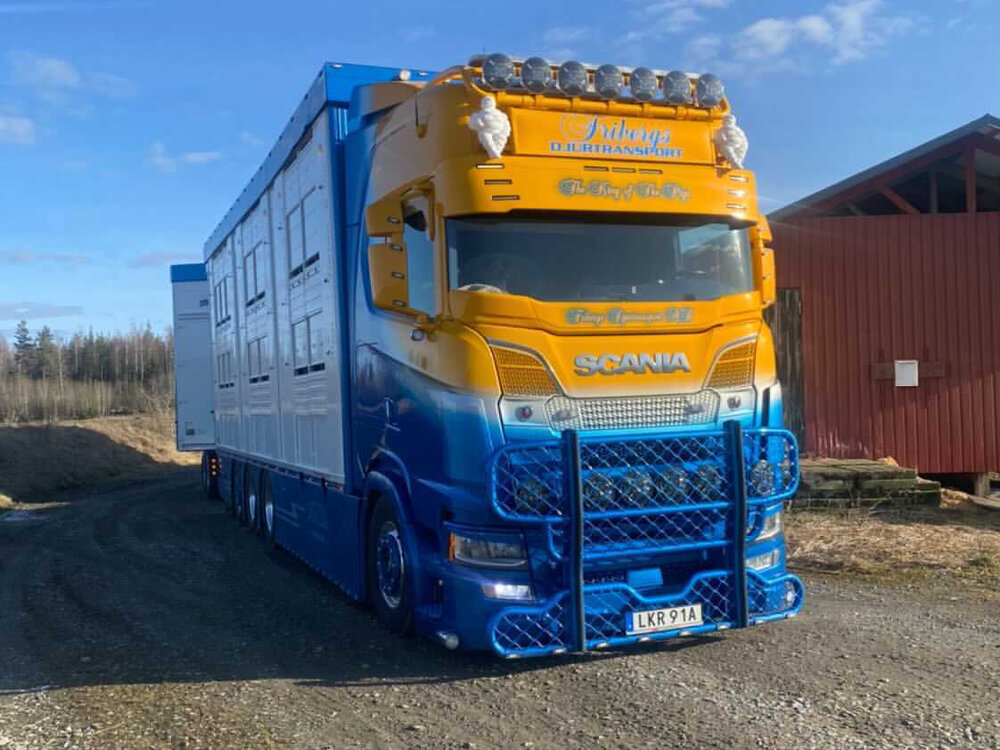 Tekno Tekno Scania Next Gen S-serie Highline Zweedse veecombi met resin vee-opbouw FRIBERG