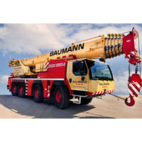 WSI Liebherr LTM 1090-4.2 Mobile crane BAUMANN